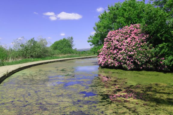 Landscape